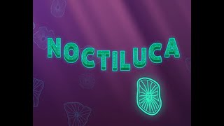 Noctiluca Walkthrough [upl. by Eileen309]