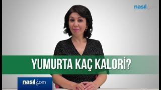 Kuluçkalık Yumurta Kaç Günlük Olması Lazım Ve Nasıl Muhafaza Edilir [upl. by Germano]