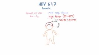 HHV 6 and 7  Roseloa [upl. by Narual]