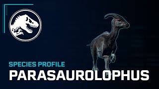 Species Profile  Parasaurolophus [upl. by Tikna769]