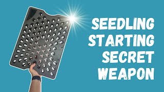 How to Start Seedlings in an AeroGarden  Growing food hydroponically [upl. by Cornwall]