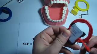 How to use a Bitewing red XCP dental film  PSP holder for Dental Xrays [upl. by Halfon]