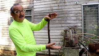 Exploring 140 Year Old Farm In Georgia Full Old Byrd Farm Tour With The Other Robert [upl. by Perretta]