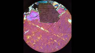 Wollastonite tutorial Optical petrography [upl. by Giark189]