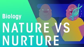 Nature vs Nurture  Genetics  Biology  FuseSchool [upl. by Ahsap]