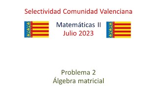 🚀ECONOMÍA de la Empresa JUNIO 2023 ▶️ Selectividad PAU ✔️​Comunidad Valenciana [upl. by Memberg]