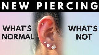 New Piercing Whats Normal Whats Not Things to Look Out For [upl. by Ert606]