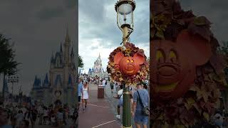 Walt Disney World Magic Kingdom Fall decor Mickey and day fireworks over Cinderellas Castle [upl. by Eelsha]