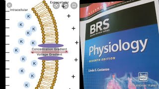 Resting Membrane Potential BRS PHYSIOLOGY page 9 [upl. by Aserehtairam]