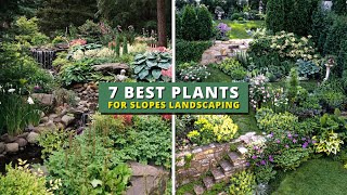 7 Best Plants for Slope Landscaping Areas 👌👍 [upl. by Godspeed]