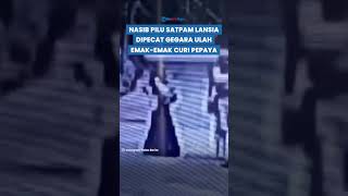 NASIB PILU Satpam Lansia di Tempat Wisata Bogor Dipecat usai Emakemak Curi Pepaya [upl. by Laeira]