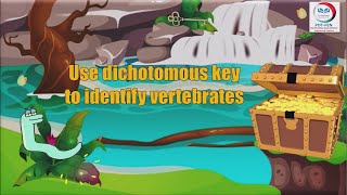 Identification of Vertebrates  Dichotomous Key [upl. by Raney]