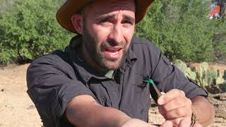 3 Peores picaduras de Coyote Peterson  Brave Wilderness [upl. by Annoda]