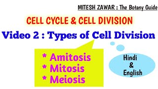 Types of Cell Division  Cell Division types  Amitosis Mitosis and Meiosis [upl. by Adliwa]