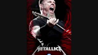 Metallica  Seek and Destroy [upl. by Hagar874]