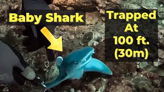 Rescuing A Baby Shark at 100ft 30m  Unexpected Ending [upl. by Annoved224]