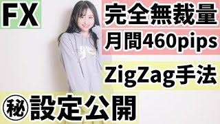 【FX手法】ZigZag手法最強の時間足はこれだ！ [upl. by Megan]