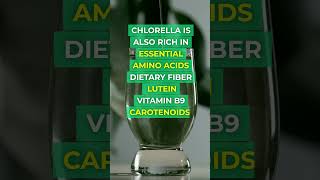 CHLORELLA  Ancient Superfood [upl. by Adallard]