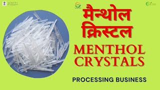 MENTHOL CRYSTAL MAKING BUSINESS I मेंथाल क्रिस्टल प्रसंस्करण I NIFTEM PMFME SCHEME [upl. by Ruffina]