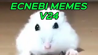 ECNEBI MEMES V24 [upl. by Cailean787]