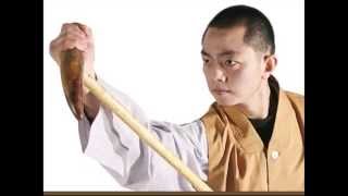 The Bodhidharma Cane amp Shaolin Tonfa [upl. by Giwdul]