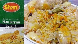 Shan Pulao Biryani Recipe  Mazedar aur chatpati si Pulao Biryani by Dua ka Kitchen [upl. by Aniras]