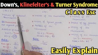 Non Disjunction  Downs Syndrome Klinefelters Syndrome And Turners Syndrome  Class 12 Biology [upl. by Sseb]