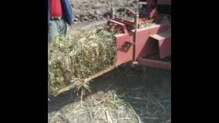 Baling Vetiver Grass for Boiler Fuel [upl. by Parlin]