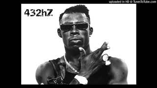 Shabba Ranks  Bedroom Bully 432hz [upl. by Hassett]