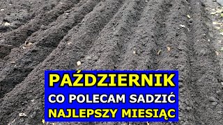 PAŹDZIERNIK  Najlepszy Miesiąc na Sadzenie tych Warzyw Co siać sadzić w Październiku Kalendarz [upl. by Acirej49]