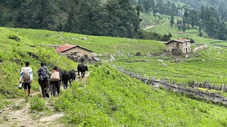 Happy Nepali Mountain Village Lifestyle  Very Peaceful and Relaxing Environment  IamSuman [upl. by Jollanta37]