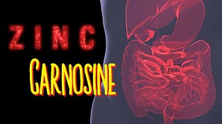 What is Zinc Carnosine [upl. by Rici]