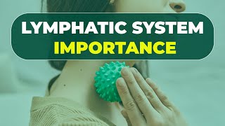 Lymphatic system importance  Nation Health  Lisa King RPh [upl. by Oirasec]