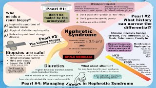 Nephrotic Syndrome Part 1  FULL EXPLANATION IN HINDI BY NG MEDICALS [upl. by Atinuaj]