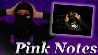 DigDat  Pink Notes Official Video REACTION [upl. by Aivatra514]