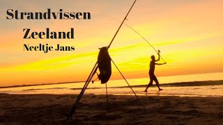 Strandvissen in Zeeland  Zeevissen vanaf de kant  Beach FIshing Netherlands 2 [upl. by Ennaeilsel796]