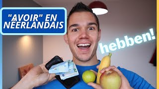 le verbe avoir en néerlandais 🇳🇱🇧🇪  hebben en néerlandais  cours de néerlandais gratuit [upl. by Caesar32]