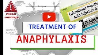 Treatment of Anaphylaxis  Medical Emergency  Must Know [upl. by Ludovika]