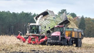 MAÏS COUCHÉ après la tempête  😰 ENSILAGE 2019 on tente de sauver la récolte [upl. by Beverly426]