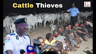 Police Arrest Cattle Thieves in the Gambia [upl. by Iraam55]