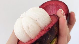 How To OpenCut and Eat Mangosteen Fruit  Queen Of Fruits  Weight Loss Fruit [upl. by Eseneg]