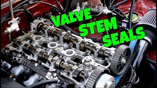 The ULTIMATE Guide To Replacing Valve Stem Seals The Easy Way [upl. by Winton836]