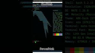 Neofetch amp Screenfetch to Display System Info On Linux [upl. by Alroy]