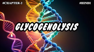 Chapter 2  Metabolism Of Carbohydrates Part7  Glycogenolysis [upl. by Edwards]