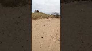 Findhorn Beach findhorn scotland beach [upl. by Zelde961]