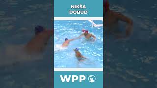 Epic Water Polo Goals by Niksa Dobud shorts waterpolo vaterpolo pallanuoto vizilabda sport [upl. by Dominy]