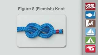 How to Tie a Figure 8 Knot [upl. by Anallese]