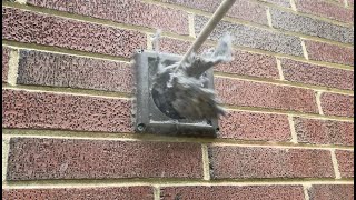 Buckle Up BUTTERCUP Cleaning a DRYER VENT almetaldryervent satisfying fyp asmr viral [upl. by Ybocaj515]