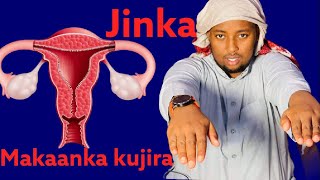 jinka makaanka dagan sida lagu kashifo iyo calaamadahiisa [upl. by Arrakat]