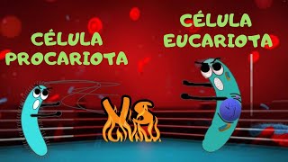 CÉLULA PROCARIOTA VS CELULA UCARIOTA  DIFERENCIAS DOCTOLOGO🥕 [upl. by Link271]